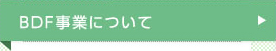 BDF事業について